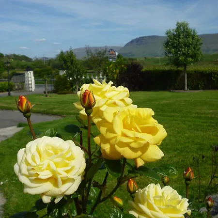 Rowanville فندق مبيت وإفطار 4*