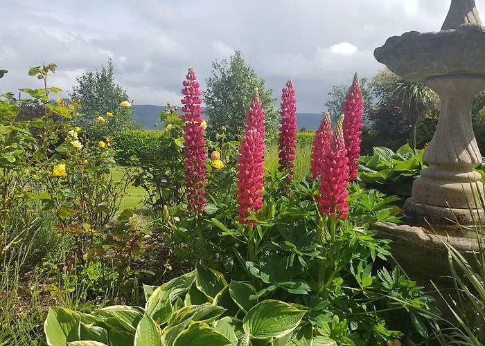 Rowanville Bed & Breakfast Grange (Sligo)